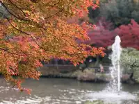 名古屋的秋東山 犬山 真的很好拍~