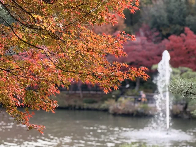 名古屋的秋東山 犬山 真的很好拍~ 名古屋的秋東山 犬山 真的很好拍~