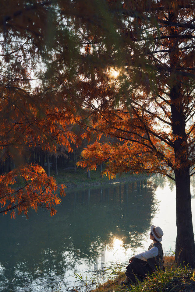 魔都的冬天有多美！紅得像火