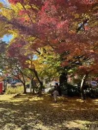 名古屋周邊|隱藏系絕美露營地