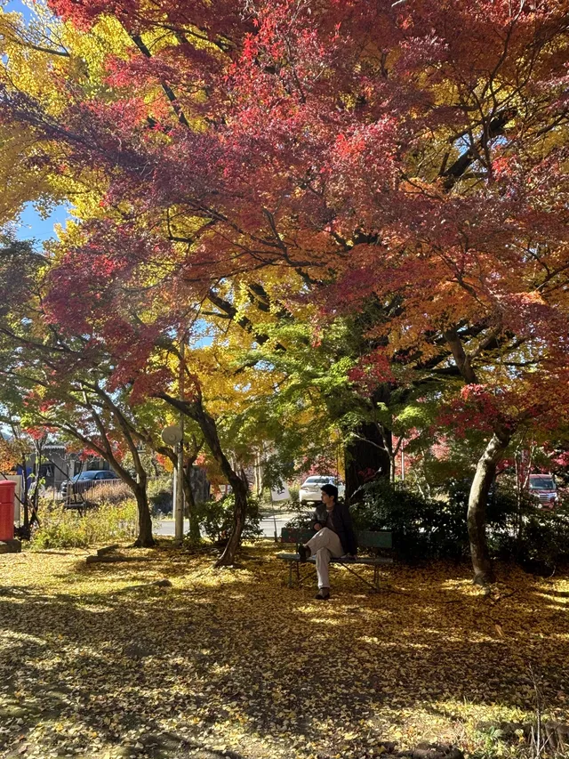名古屋周邊|隱藏系絕美露營地 名古屋周邊|隱藏系絕美露營地