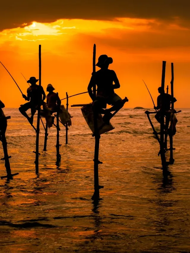 斯里蘭卡9日遊,一路山海與古城 斯里蘭卡9日遊,一路山海與古城