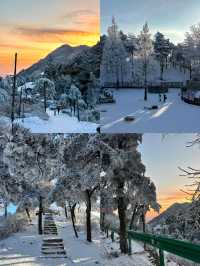 抓緊碼住這份廬山賞雪攻略看霧淞雲海的絕佳時機來了