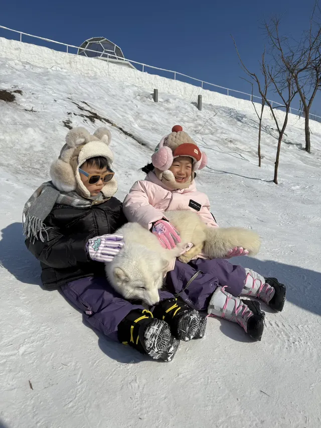 天津-長春-哈爾濱5天4晚