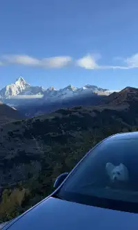 川西｜真的好幸運 拍到日照金山了！還有彩林