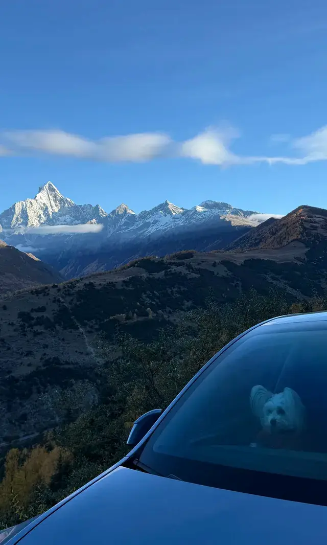 川西｜真的好幸運 拍到日照金山了！還有彩林