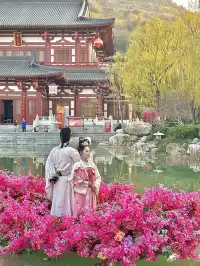 爬驪山贏10萬?!華清宮保姆級攻略附路線!