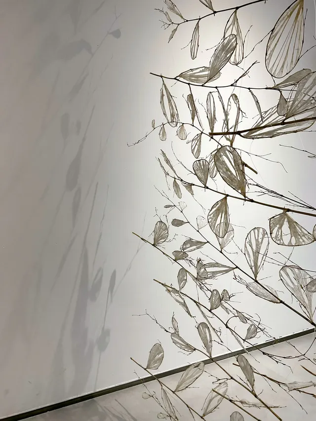 西安citywalk|“paper maze”國際紙藝展 西安citywalk|“paper maze”國際紙藝展