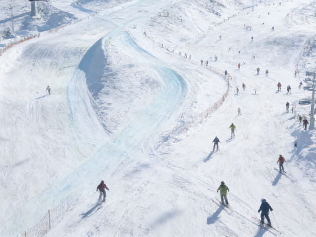 Skip Hokkaido! Harbin’s 5-Day Ski & Ice Magic Trip Is Unbeatable ❄️