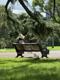 新西蘭D1|奧克蘭一日遊