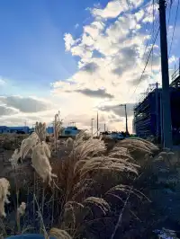 涯月邑：面朝大海，坐到日落（穿多了版）