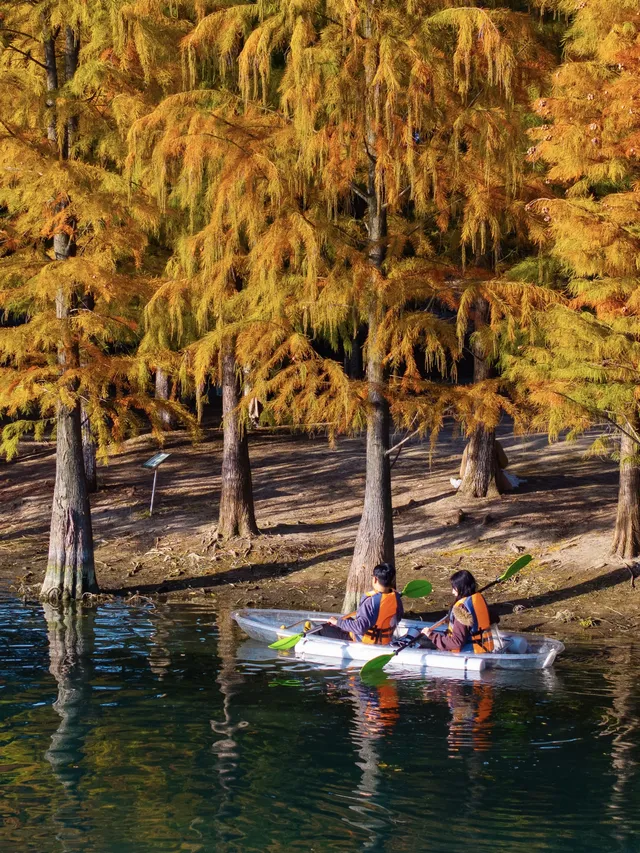 在常州!虎丘同款網紅玻璃船,絕美! 在常州!虎丘同款網紅玻璃船,絕美!