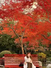 12.5號實拍 | 魯迅公園週末應該會有萬人參觀