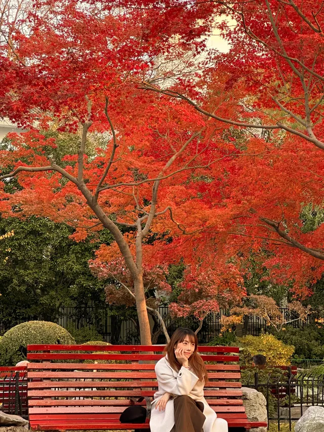 12.5號實拍 | 魯迅公園週末應該會有萬人參觀