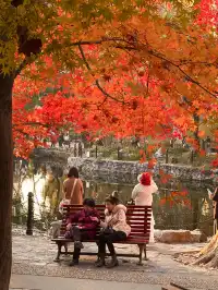 12.5號實拍 | 魯迅公園週末應該會有萬人參觀