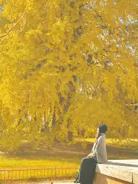 12月！預計會有10萬人來這裡…