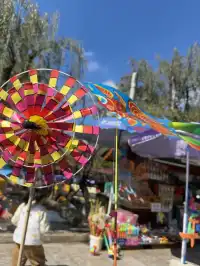 昆明漫遊記day3在翠湖發呆也太舒服了吧!