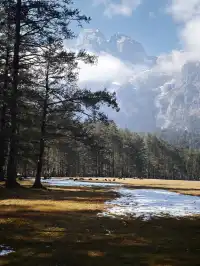 12.1玉龍雪山之旅