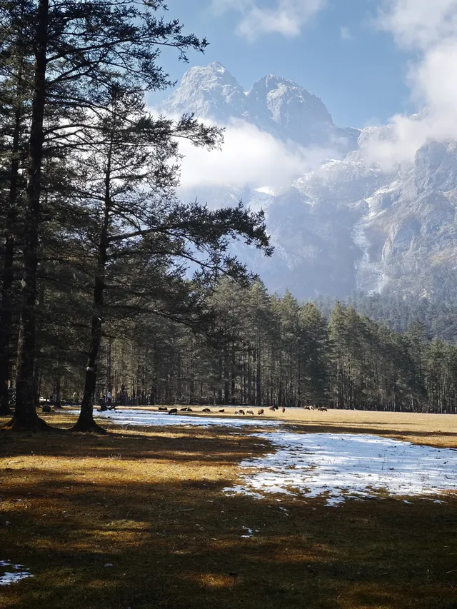 12.1玉龍雪山之旅