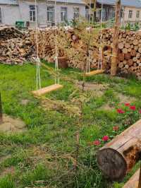 北極村絕絕子民宿!露營+篝火太治癒了