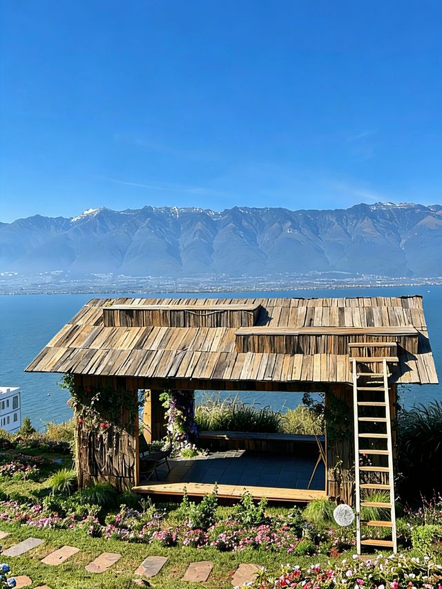 小眾浪漫天花板 小眾浪漫天花板