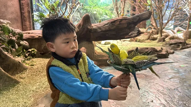 舟山-普陀山 還願遛娃之旅