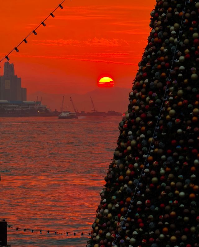 香港西九文化區聖誕樹 - 尖沙咀, 香港 - 全年 全天開放  - 超適合拍照打卡哦 - 聖誕