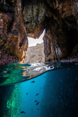 Recommended Diving Spots in New Zealand