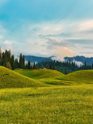 小長假衝伊犁草原-賽里木湖攻略已備好