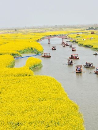 For this sea of water flowers, I specially went to Xinghua