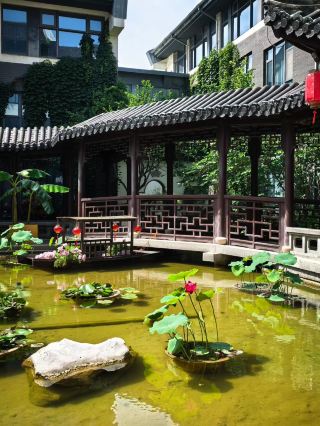 Summer Stay in Zibo|Zhiweizhai Grand Hotel, Lotus Garden Elegance Meets Rich Lu Merchants Culture