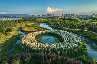 Free and beautiful Dianxi River Wetland Park, a hidden gem in Yunnan!
