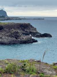 Peaceful Luxury Getaway at JW Marriott Jeju
