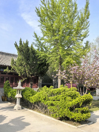 Summer is perfect for exploring the hidden gems of Handan, Shijiazhuang, and Baoding that really speak to me
