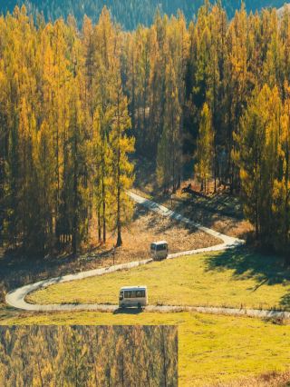 A must-visit autumn wonderland for photos in Kanas, Northern Xinjiang