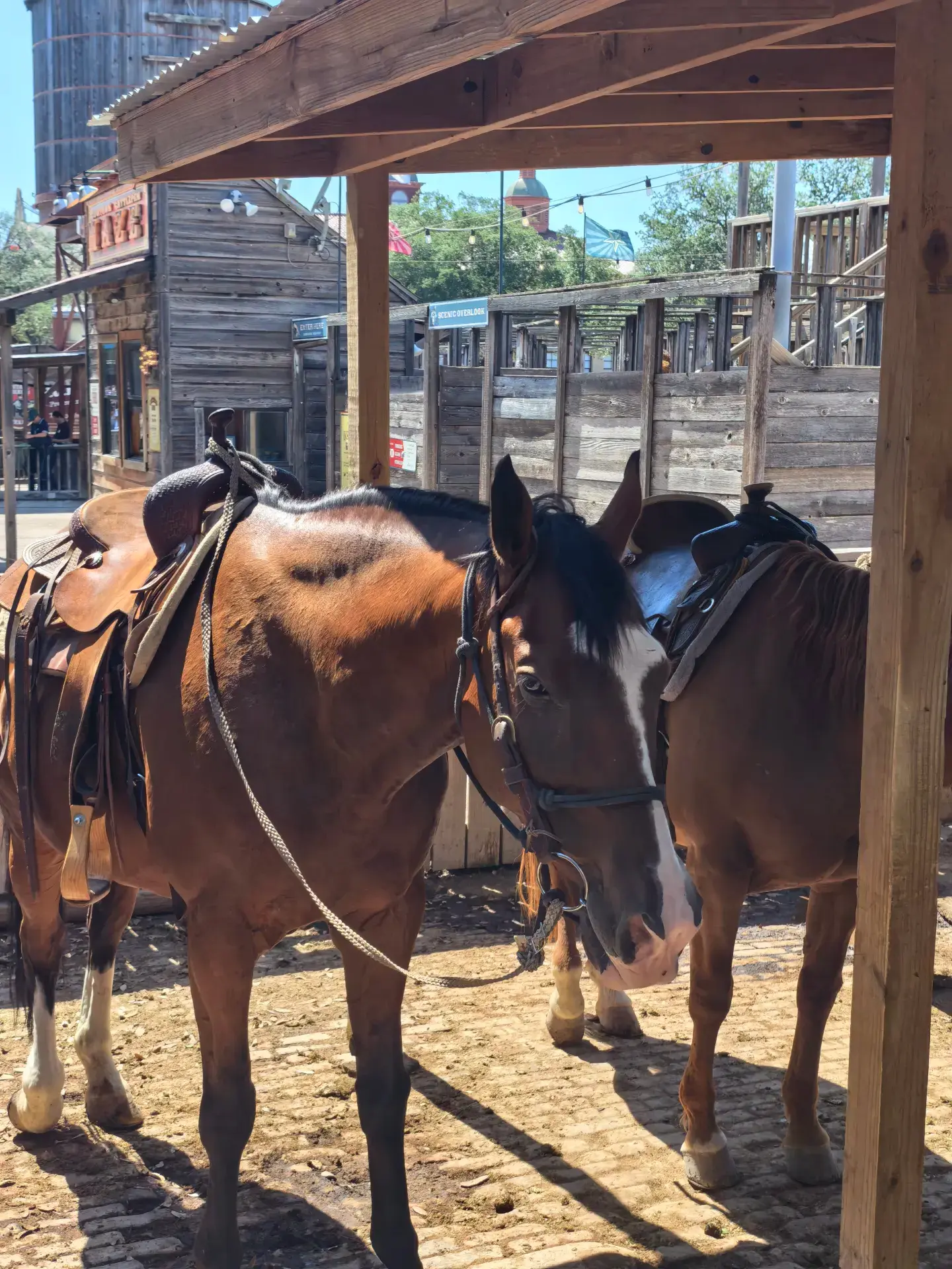 The birthplace of North American Western cowboy culture is actually hidden here.