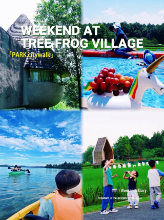 Depart from Changsha | Tree Frog Tribe two-day, one-night itinerary fully packed