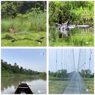 I Got Charged by a Rhino in Chitwan — And I'd Do It All Over Again