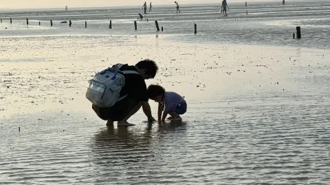사양 갯벌 체험｜황금빛 일몰을 본 것만으로도 가치가 있어 — traveler post in 서양