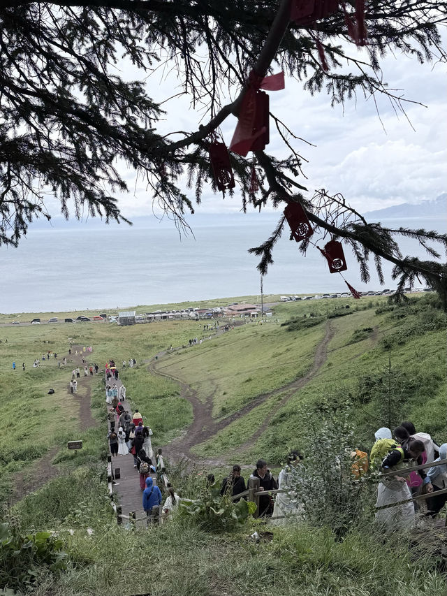 松樹頭絕美觀景地