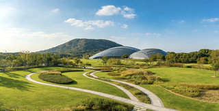One of the must-visit attractions in Shanghai, Chenshan Botanical Garden! As one of the largest botanical gardens in East China, it is truly worth a visit Address: Shanghai