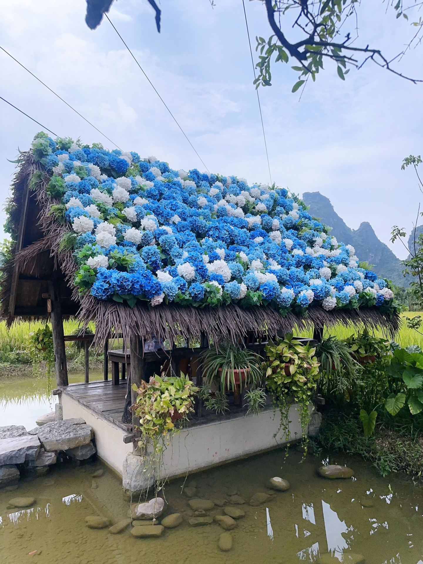 Chuyến đi 5 ngày của tôi đến Nam Ninh và những nơi khác đã nâng tầm trải nghiệm du lịch của tôi lên một đẳng cấp hoàn toàn mới.
