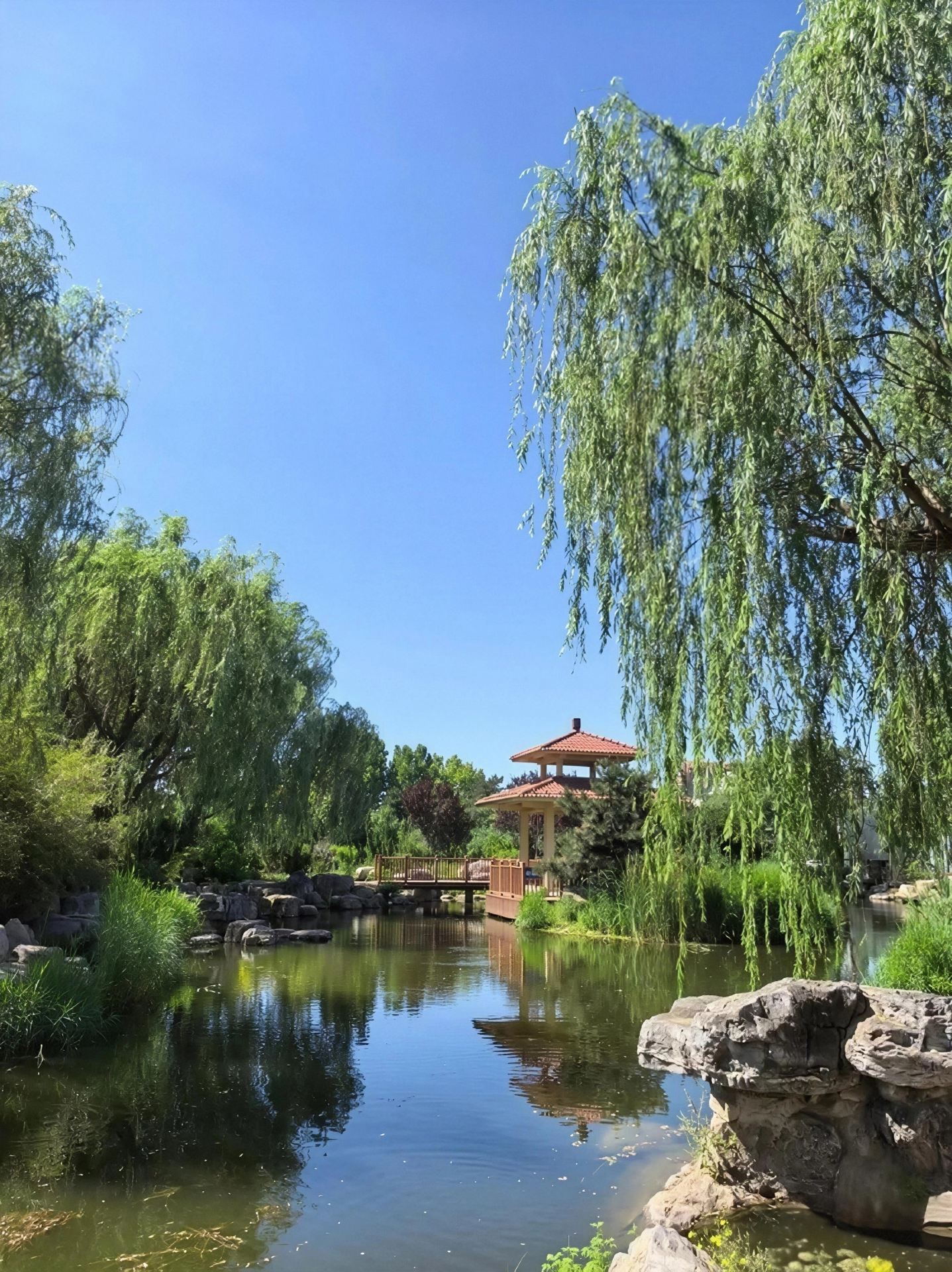 滄州｜獅城公園免費打卡千年鎮海吼