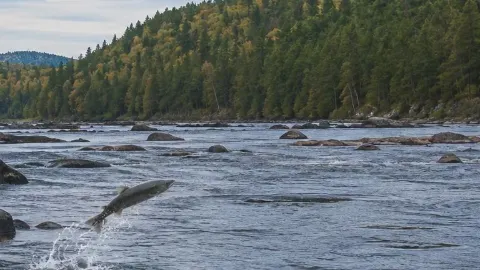 8-day refreshing hidden gem Canada itinerary — traveler post in Ottawa