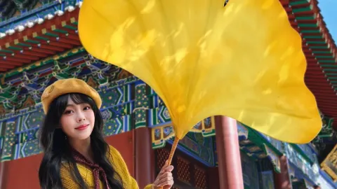 선양역 X 호텔|둥타 은행나무, 제때 노랗게 물들었어요 — traveler post in 선양