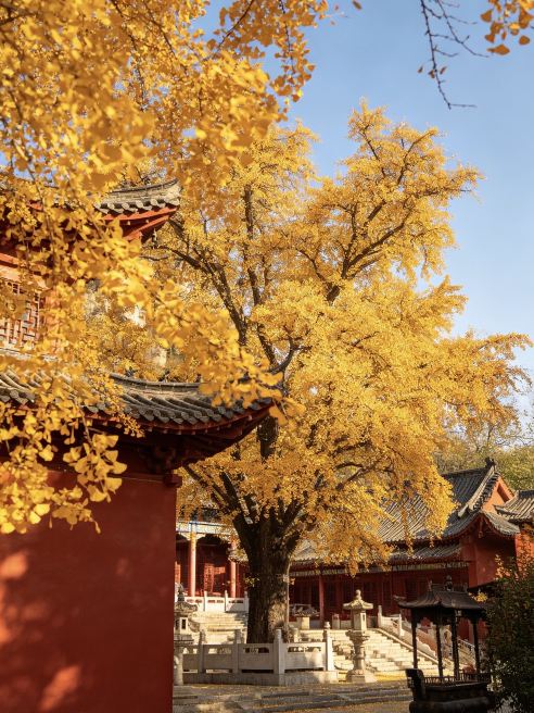 Bengbu | 4 Must-Visit Attractions | A Slow Tour of Pearl City
