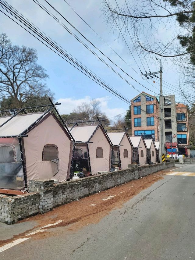 충청도지도 채우기 완성! 드디어 계룡을 가보다🤎