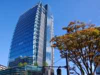 【新潟市】街を見渡せる無料スポット💡