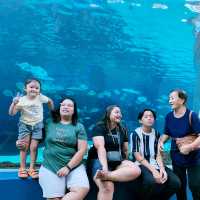 OCEAN PARK CEBU!