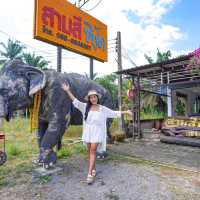 สามสี ซีฟู๊ด-บางม่วง 